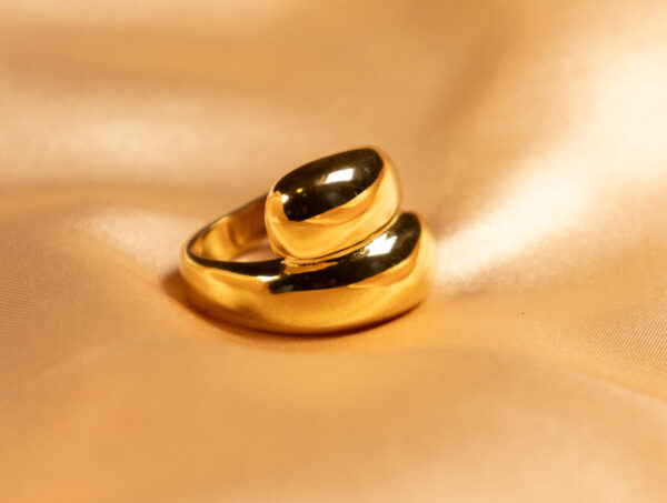 Eternity's Embrace Ring - Image 4