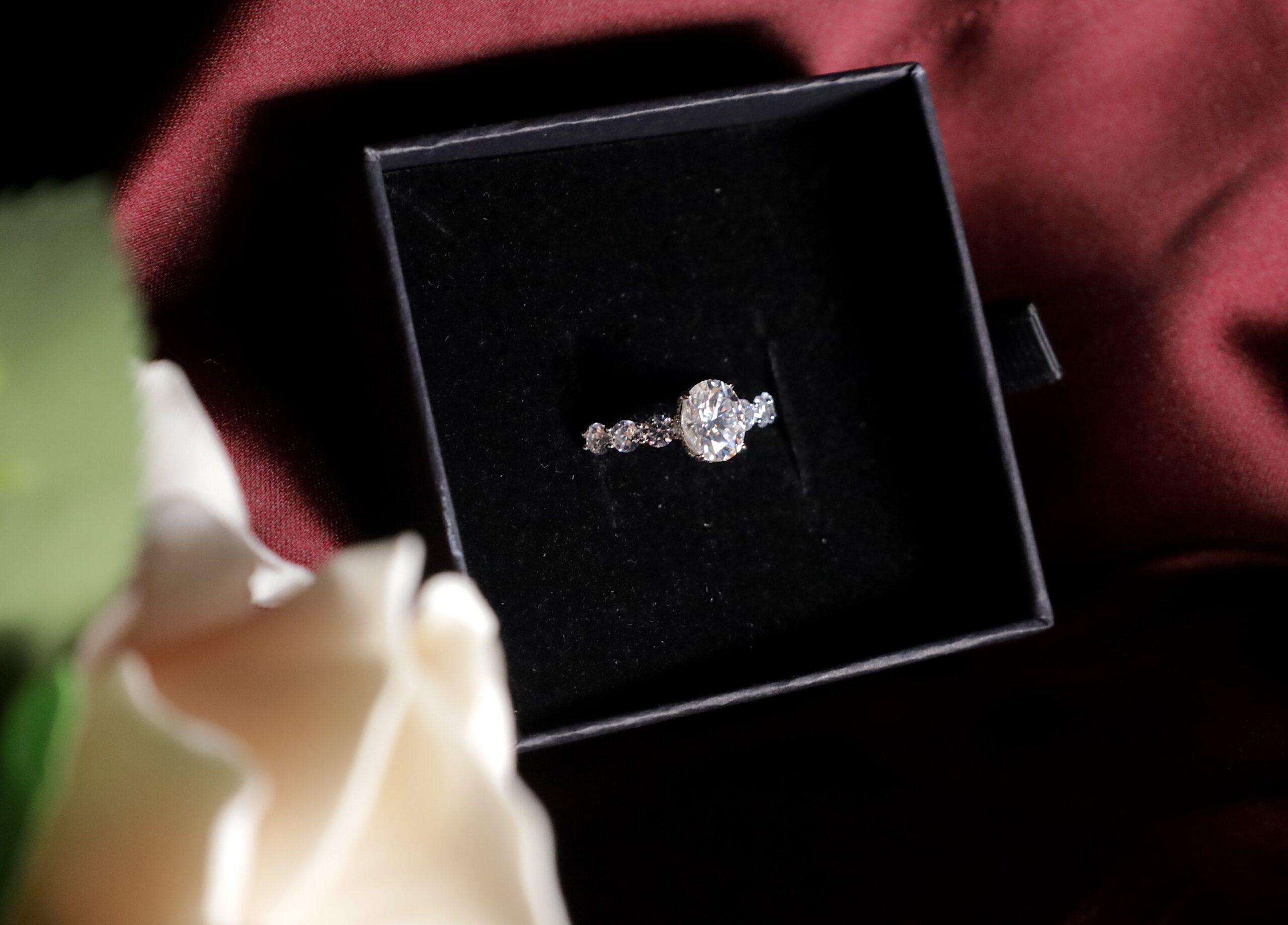 Raya Moissanite Halo Ring - Image 3