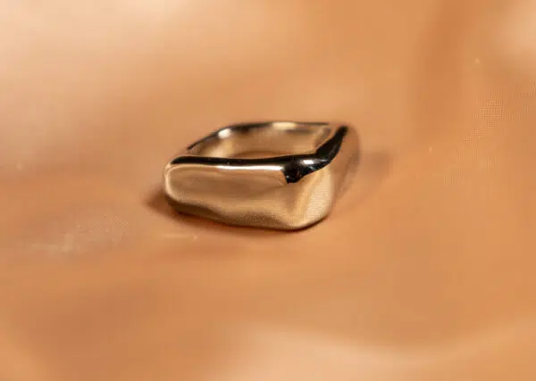 Timeless Sculpture Ring - Silver - Image 4