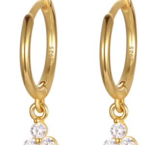 Clover Hoops